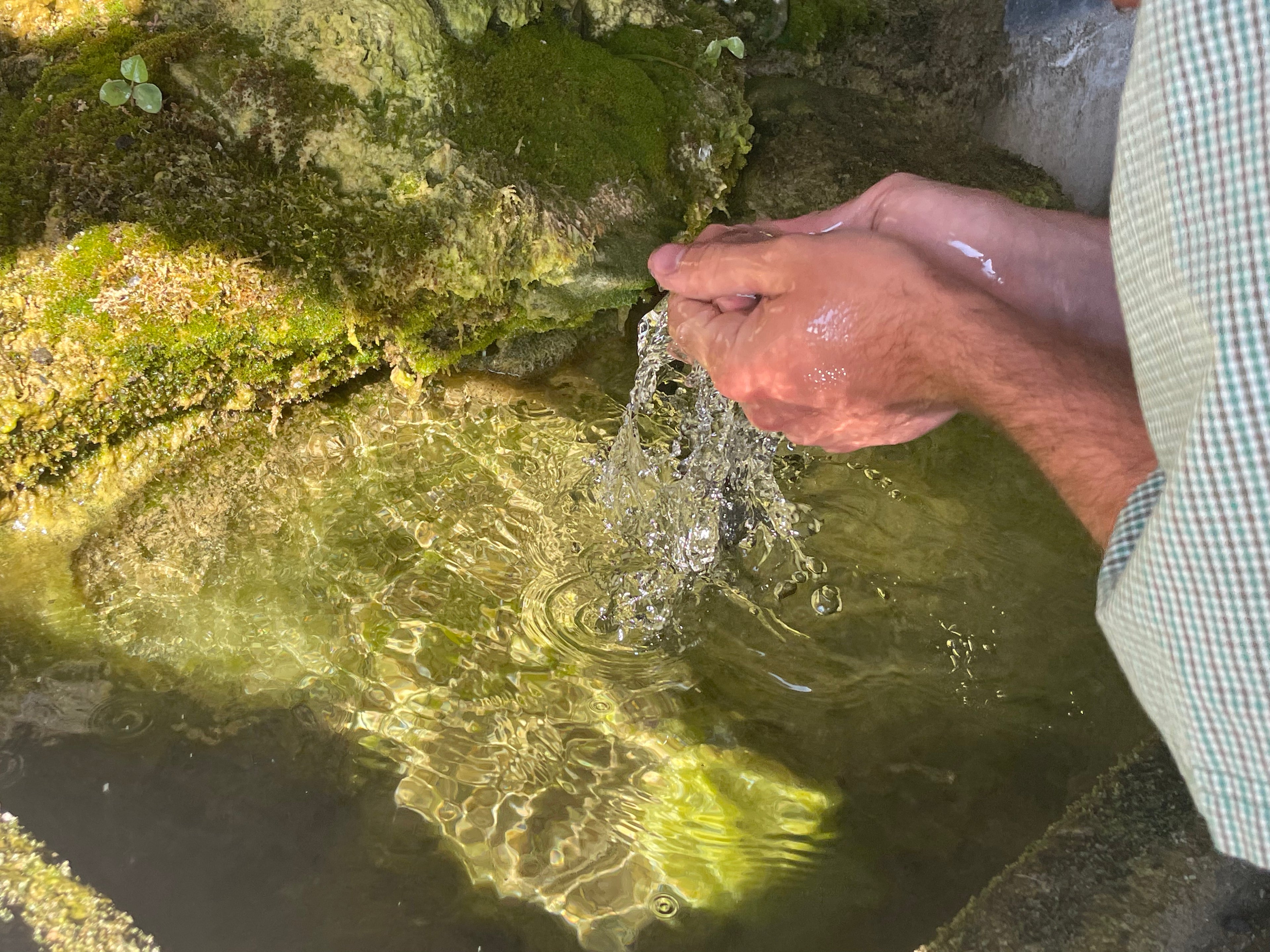 source d'eau motifs aquatiques inspirant bijoux Lolie